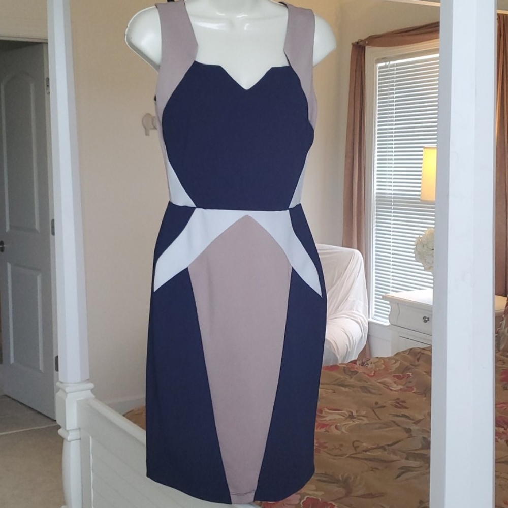 Form fitting color block dress